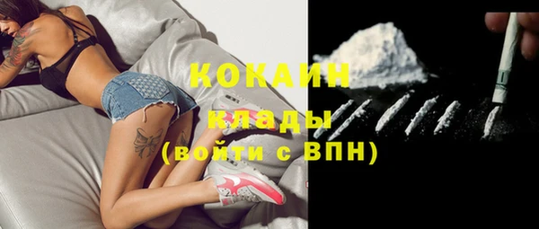 соль ск Коряжма