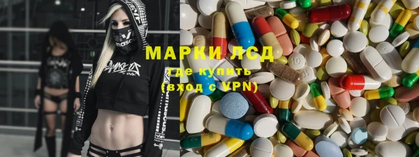 ГАЛЛЮЦИНОГЕННЫЕ ГРИБЫ Козловка