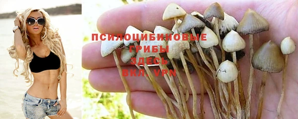 соль ск Куйбышев