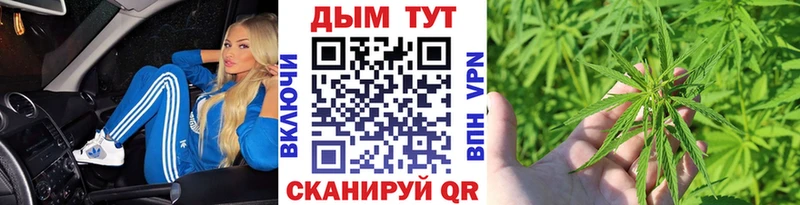 продажа наркотиков Кузнецк ОМГ ОМГ ТОР Шишки марихуана сатива